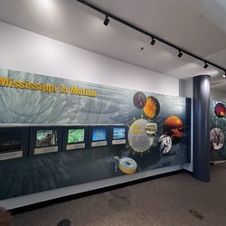 National Great Rivers Museum
