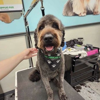 Pet Supplies Plus Milford - Pet Groomers Near Me - Milford, Ohio