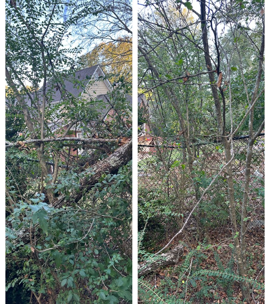 Grass Gurus Lawn Care - tree service in Pelham, AL