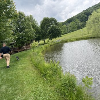 Mount Nittany Vineyard & Winery - Pond View - Wineries Near Me - Centre Hall, Pennsylvania