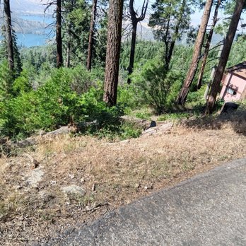 J&J Weed Abatement - J&j weed abatement is by far the best weed abatement company around I had Joe dirt do it last year pssssh never again thank you j&j - Tree Services Near Me J&J Weed Abatement - J&j weed abatement is by far the best weed abatement company around I had Joe dirt do it last year pssssh never again thank you j&j - Tree Services Near Me