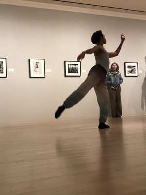 San Jose Museum of Art by null