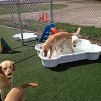 Wag N Train - Pet Sitting Near Me - Grand Forks, North Dakota