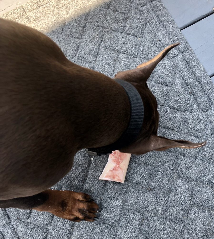 B's Meat Market & B's Backyard B'stro Logo