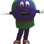 Photo of Global Guard Insurance