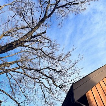 Misael Tree Services - Tree Services Near Me - Renton, Washington Misael Tree Services - Tree Services Near Me - Renton, Washington