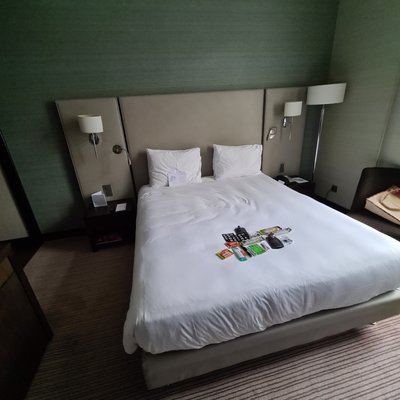 Hôtel Métropole Genève by null