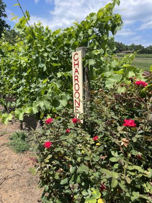 Crane Creek Vineyards by null