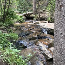 Lower Maxwell Falls Trail Head