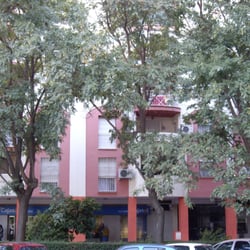 Bambú