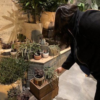 Arcana - Plants out front - Nurseries & Gardening Near Me - San Francisco, California