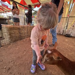 Petting zoo
