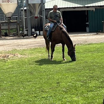 The Spotted Horse Ranch - Rocky before our ride. - Venues & Event Spaces Near Me - Laurelville, Ohio The Spotted Horse Ranch - Rocky before our ride. - Venues & Event Spaces Near Me - Laurelville, Ohio