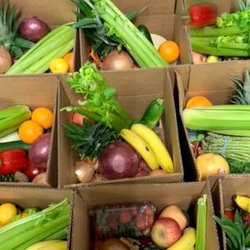 Zafar Produce