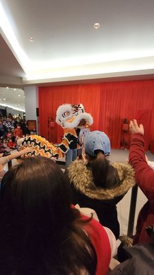 The Shops at Skyview by null