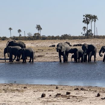 Run Wild African Safaris - Tours Near Me - Tempe, Arizona Run Wild African Safaris - Tours Near Me - Tempe, Arizona