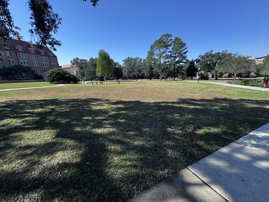 Landis Green by null