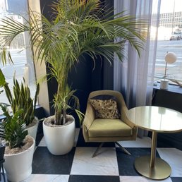 Lounge Lounge