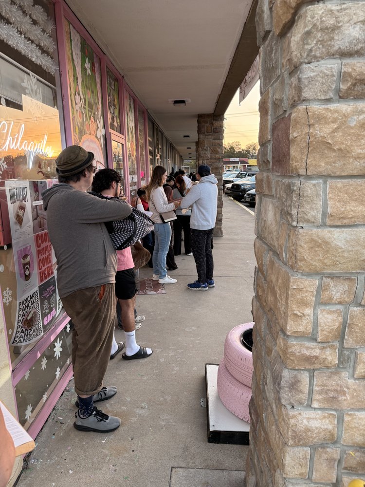 Spay Neuter Network - social services organization in Dallas, TX