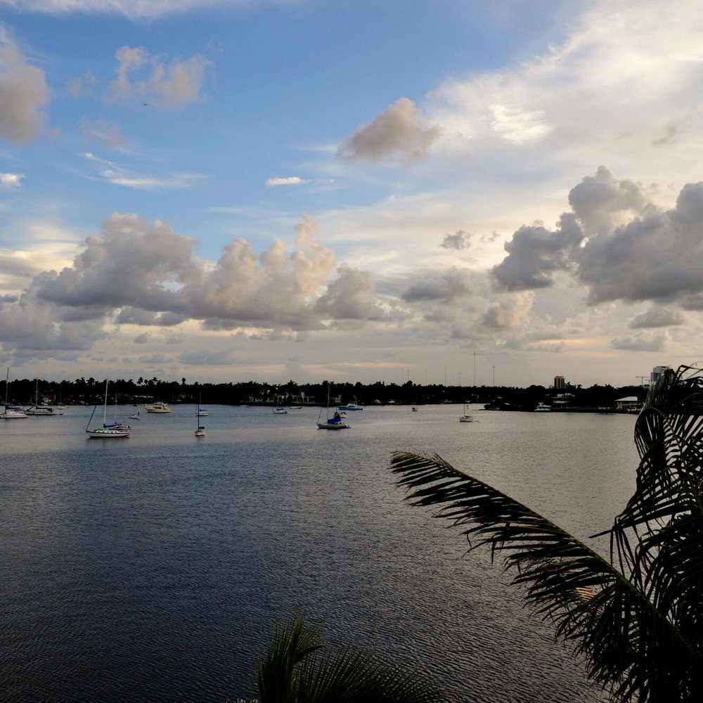 Holland Park - Parks Near Me - Hollywood, Florida