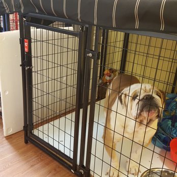 Lavonia Pet Salon - We also offer boarding services! Space is limited so call ahead! - Pet Groomers Near Me - Lavonia, Georgia Lavonia Pet Salon - We also offer boarding services! Space is limited so call ahead! - Pet Groomers Near Me - Lavonia, Georgia