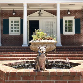 Monticello Vineyards - Dog friendly! Jax gives his stamp of approval. - Wineries Near Me - Napa, California Monticello Vineyards - Dog friendly! Jax gives his stamp of approval. - Wineries Near Me - Napa, California