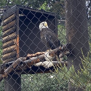 Heritage Park Zoological Sanctuary - Zoos Near Me - Prescott, Arizona