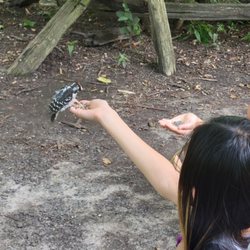 Lynde Shores Conservation Area - Feeding wild birds