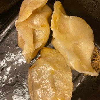 Noodles & Dumplings - Dumplings were yummy - Noodles Near Me - El Paso, Texas