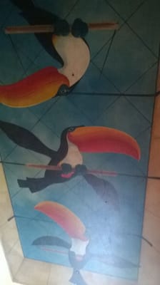 The Toucan by null