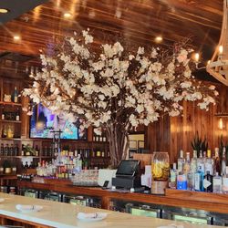 moto imōto - Bar view