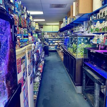 Seven Seas Aquarium - Freshwater - Pet Stores Near Me - Clovis, California Seven Seas Aquarium - Freshwater - Pet Stores Near Me - Clovis, California