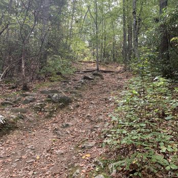 Lantern Hill - Hiking Near Me Lantern Hill - Hiking Near Me