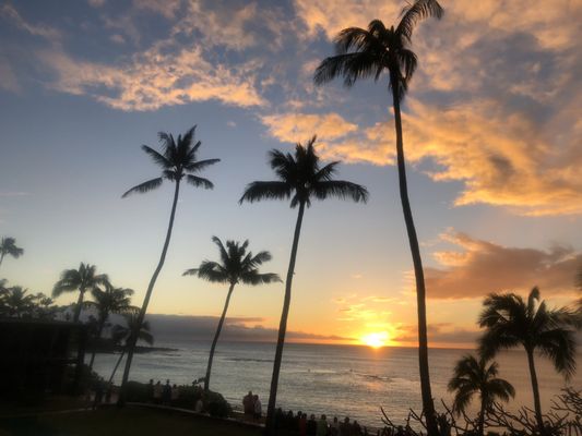 The Mauian Hotel by null