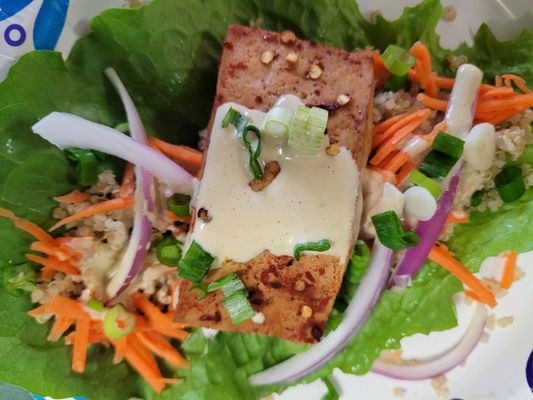 BLUE ZONE by Body Basics Healing Center by null