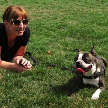 Cat's Got Your Dog! - Dog Walkers Near Me Cat's Got Your Dog! - Dog Walkers Near Me