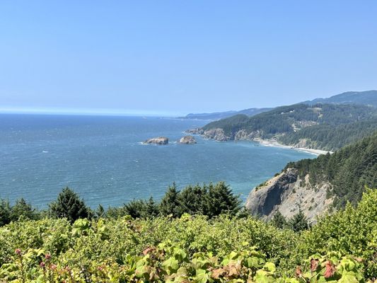 Samuel H. Boardman State Scenic Corridor by null