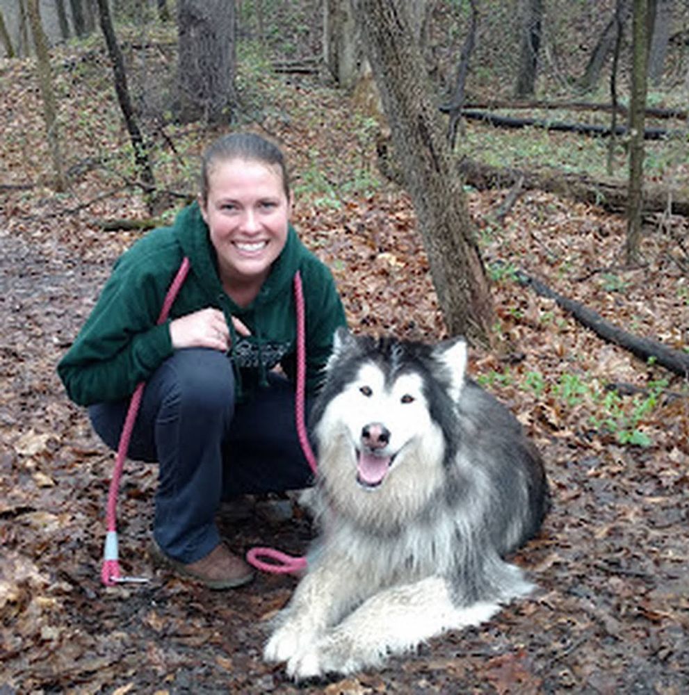 HEATHERS MOBILE PET GROOMING Updated September 2024 12437 Cabin Dr