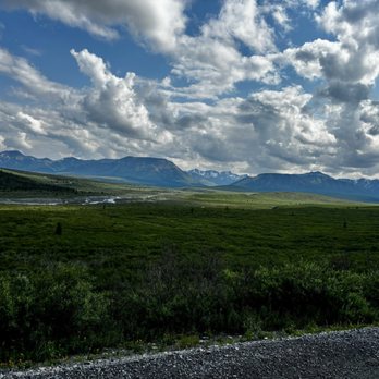 Denali National Park - What??? - Parks Near Me Denali National Park - What??? - Parks Near Me