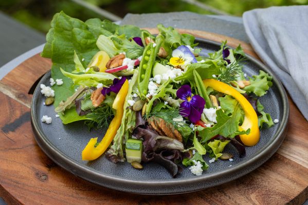 Wild Rice Retreat by null
