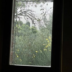 Fontanaro - It poured last night, woke up this morning and looked out to this