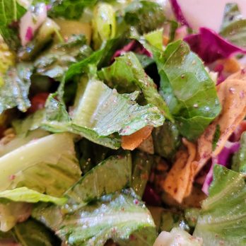 Malek Al Kabob - Fattoush salad is crisp and packed with flavor - Mediterranean Near Me - Dearborn, Michigan Malek Al Kabob - Fattoush salad is crisp and packed with flavor - Mediterranean Near Me - Dearborn, Michigan