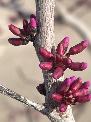 Cornerstone Park by null