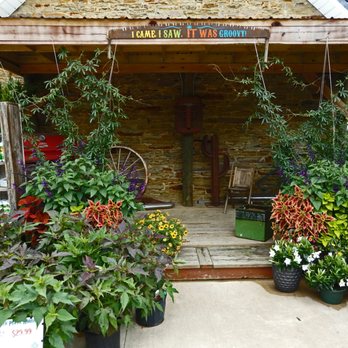 Groovy Plants Ranch - I came, I saw, It was Groovy - Nurseries & Gardening Near Me - Marengo, Ohio