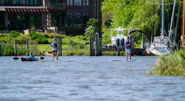 2025 Paddle Memberships - Get Unlimited Paddle Rentals with our Memberships!
Quick Details
Ages: All ages
New & Improved Memberships: Adult Memberships come in three levels: Silver, Gold, and Platinum. Find the perfect fit for your paddling journey!
Member Only Events: Capital SUP will be hosting Member only community events this 2025 season!
Buddy Passes: Buddy passes allow friends to paddle for free! Membership options vary. Purchase extra buddy passes for 70% off rental prices to paddle with friends all summer!
Monthly Memberships: 30 days of unlimited paddling starting after the first rental. Love it? Upgrade to a seasonal plan, and we’ll credit your monthly cost!
Payment Plans: Deposits available ~ Pay 50% NOW - pay remainder of balance for membership in 1 month from purchase date! 2025 Paddle Memberships - Get Unlimited Paddle Rentals with our Memberships!
Quick Details
Ages: All ages
New & Improved Memberships: Adult Memberships come in three levels: Silver, Gold, and Platinum. Find the perfect fit for your paddling journey!
Member Only Events: Capital SUP will be hosting Member only community events this 2025 season!
Buddy Passes: Buddy passes allow friends to paddle for free! Membership options vary. Purchase extra buddy passes for 70% off rental prices to paddle with friends all summer!
Monthly Memberships: 30 days of unlimited paddling starting after the first rental. Love it? Upgrade to a seasonal plan, and we’ll credit your monthly cost!
Payment Plans: Deposits available ~ Pay 50% NOW - pay remainder of balance for membership in 1 month from purchase date!