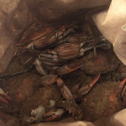Henry's Seafood Market - Steamed crabs with extra Old Bay