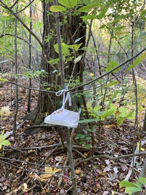 Cochituate State Park by null