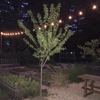 Harvest Table - Chef garden at night! - New American Near Me - St Helena, California Harvest Table - Chef garden at night! - New American Near Me - St Helena, California