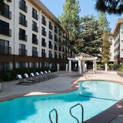 Hilton Stockton - Pool