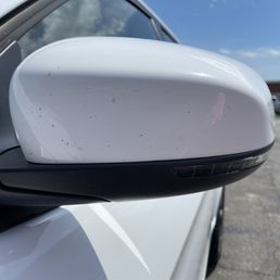 Bugs! Bugs!